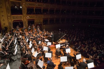 ©-rosellina-garbo_MG_5888-resize